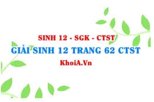 Giải Sinh 12 trang 62 Chân trời Sáng tạo